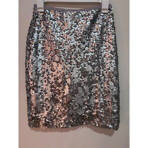 J.Crew Silver Sequin Mini Skirt Size 0 With Back Zipper Closure 21"